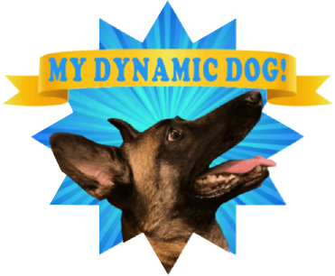My Dynamic Dog!